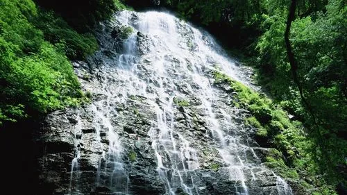 节能绿色科技